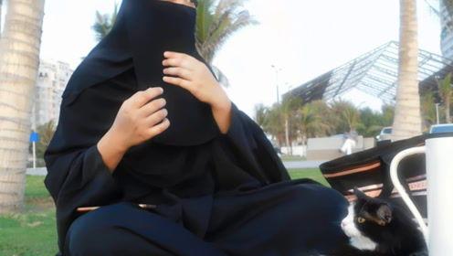 娱乐吃瓜君说七七视频,娱乐吃瓜君带你揭秘娱乐圈幕后故事