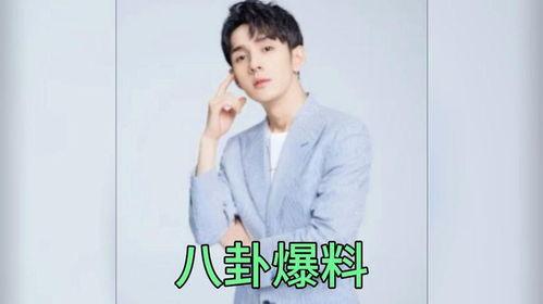 娱乐圈吃瓜爆料博主猫,猫博主带你探秘明星幕后生活