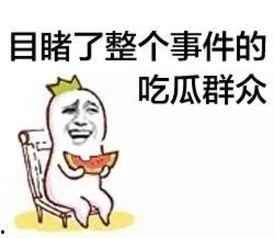 娱乐吃瓜菌感动,见证娱乐圈感动瞬间