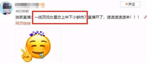 吃瓜娱乐公司,揭秘娱乐圈幕后那些事儿
