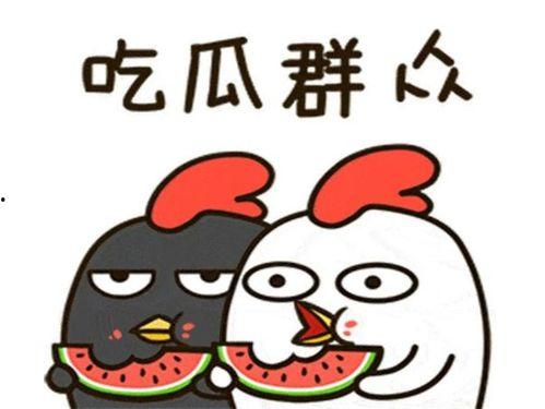 伙伴娱乐吃瓜,揭秘娱乐圈的“吃瓜”风云