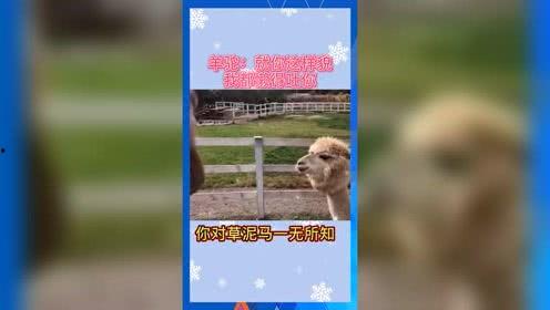 娱乐吃瓜122,揭秘娱乐圈背后的那些事儿