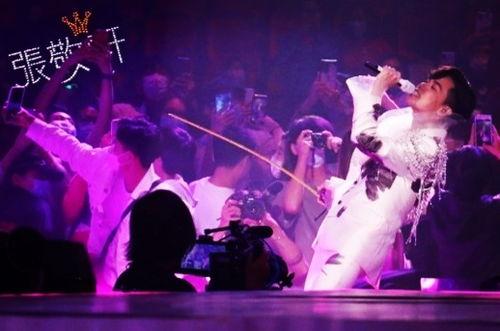 娱乐吃瓜酱演唱会,燃情开唱，狂欢之夜