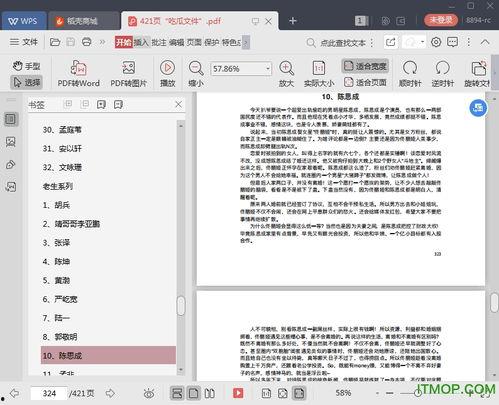 娱乐圈吃瓜文件pdf,幕后真相大曝光