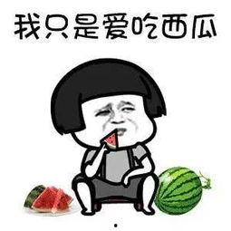 娱乐吃瓜音乐是什么,盘点那些让人笑中带泪的流行旋律