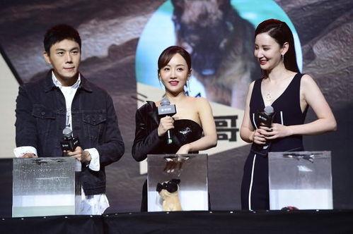 718娱乐圈吃瓜汇总,揭秘明星幕后故事，吃瓜汇总大盘点