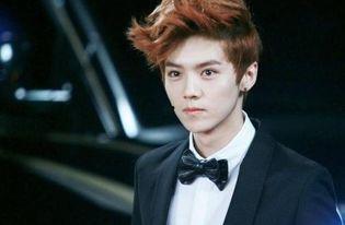 娱乐吃瓜猫鹿晗,娱乐吃瓜猫的时尚之旅